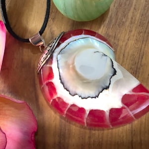 Könnte beinhalten: Anhänger aus einer Nautilus-Muschel mit rotem und weißem Muster, an einer schwarzen Kordel. Die Schale hat ein perlmuttartiges Inneres und ist mit silberfarbenem Metall akzentuiert. Eine rosa Blume und ein grünes Objekt befinden sich im Hintergrund.