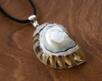 Champagne colored Nautilus pendant