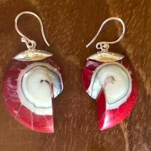 Könnte beinhalten: Ein Paar Ohrringe aus Nautilusmuscheln. Jeder Ohrring hat eine polierte, rot-weiße Nautilusmuschel mit einem silberfarbenen Haken. Die Muscheln haben ein Spiralmuster und einen perlmuttartigen Glanz.