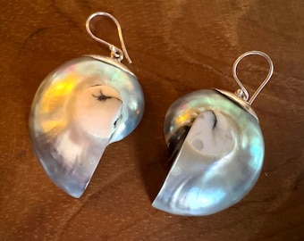 925 Sterling Silver Nautilus Ocean Shell Earrings personalised gift