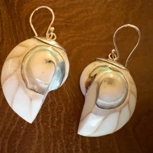 May include: A pair of nautilus shell earrings with silver-colored hooks. The earrings feature a pearlescent white and tan color scheme with a swirling pattern. The earrings are designed to be worn on the ear.