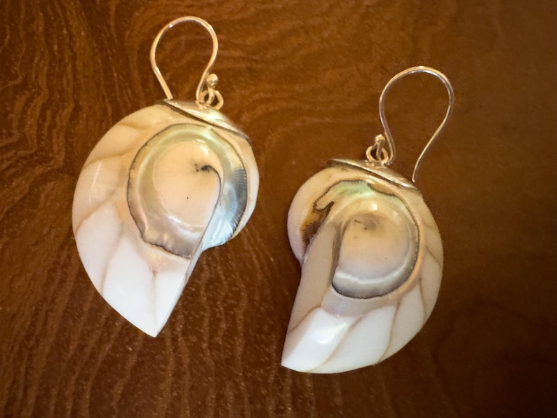 May include: A pair of nautilus shell earrings with silver-colored hooks. The earrings feature a pearlescent white and tan color scheme with a swirling pattern. The earrings are designed to be worn on the ear.