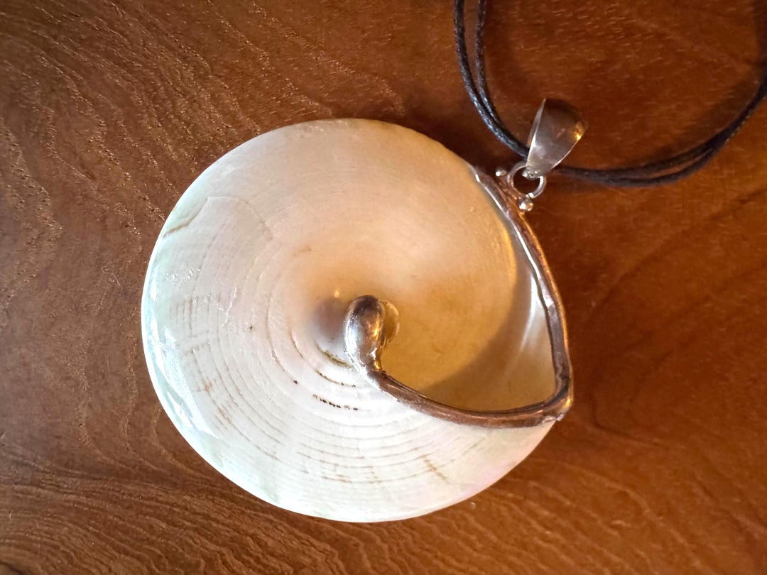 925 Sterling Yoni Shell Pendant With Set in Sterling Silver as a ...
