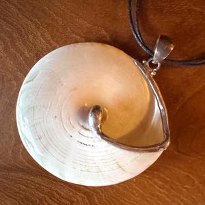 Könnte beinhalten: Eine Halskette mit Anhänger, die einen großen, cremefarbenen, muschelförmigen Anhänger mit silberfarbener Metallverkleidung und Öse aufweist. Der Anhänger ist an einer schwarzen Kordel befestigt. Die Muschel hat ein Spiralmuster.