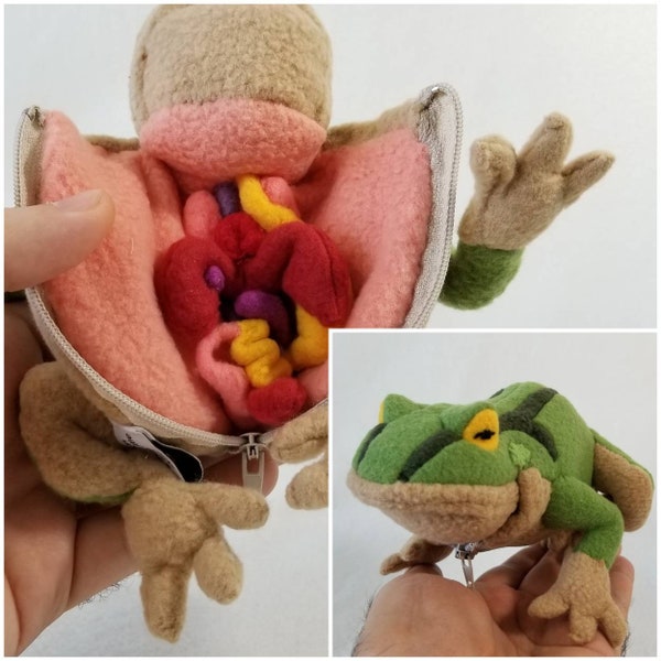 Dissect a Frog Plush with zippered belly