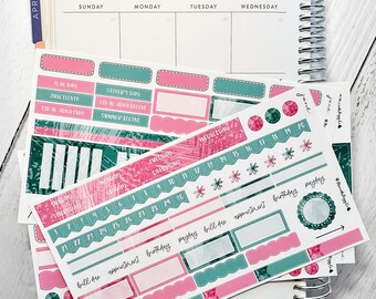 June Monthly Kit for Erin Condren Inspire