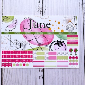 Tropical June 2024 for the Laurel Denise Vertical and Horizontal Planner Month Sunday Start