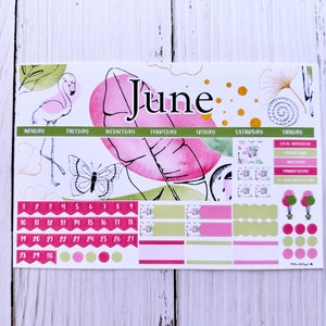 Tropical June 2024 for the Laurel Denise Vertical and Horizontal Planner Month Monday Start