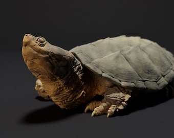 Snapping Turtle  - 3 Poses -  3D Printed - Designed by Animal Den Miniatures - Figurine - Sculpture - DIY Paint Your Own