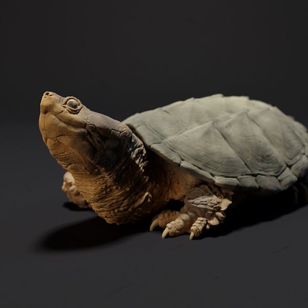 Snapping Turtle - Etsy