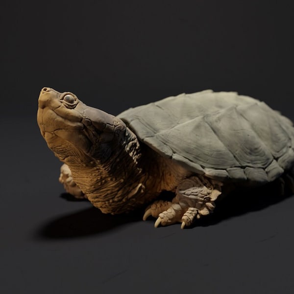 Snapping Turtle  - 3 Poses -  3D Printed - Designed by Animal Den Miniatures - Figurine - Sculpture - DIY Paint Your Own