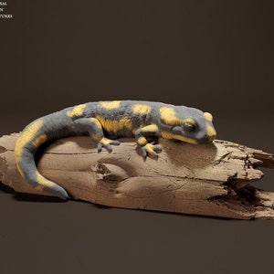 Model Salamander 