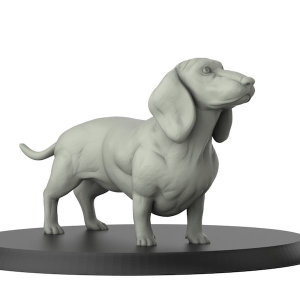 Dachshund  - Dog - Companion - Animals Vol 2 - 3D Printed Miniature by 3D IPStudios - Gaming - Painting - Tabletop