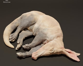 Aardvark - Sleeping - 3D Printed -Designed by Animal Den Miniatures - Figurine - Sculpture - DIY Paint Your Own