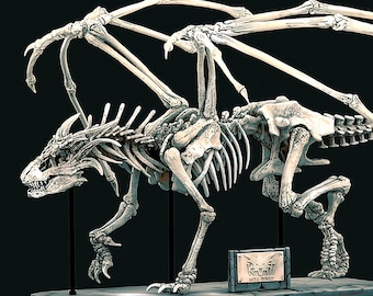 Dragon Skeleton - Diorama  -  Designed by Keta-Minies - Where is my Dragon - 3D Printed - Miniature - Gaming - Tabletop - Display