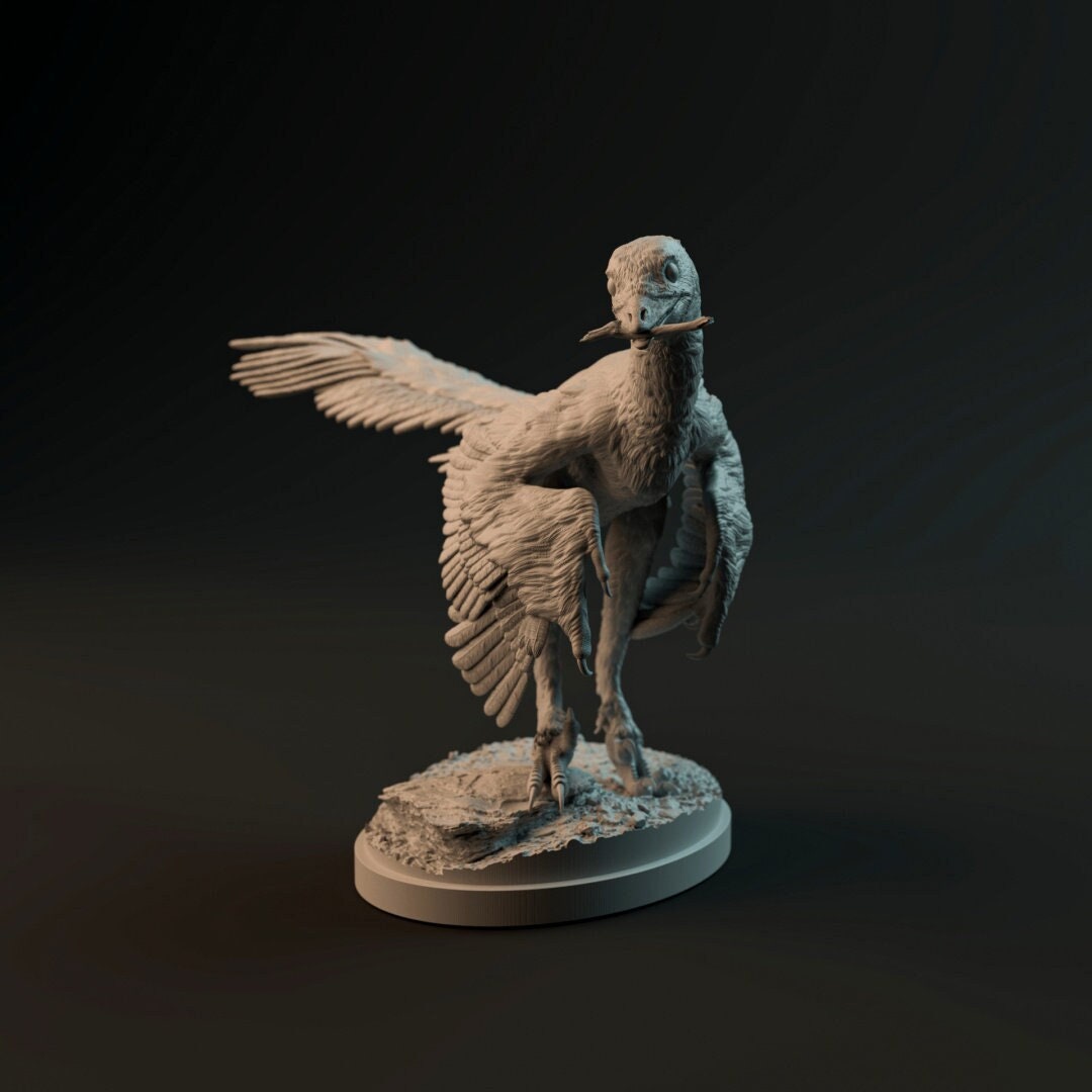 archaeopteryx-2-poses-and-fossil-designed-by-dino-and-dog-3d