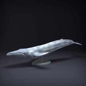 Blue Whale - Two styles -  3D Printed - Miniature - Figurine - Sculpture - DIY Paint Your Own