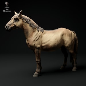 Konik Horse - 4 Styles - 3D Printed Miniature - Designed by Animal Den - Sculpture - Unpainted - DIY Paint Your Own