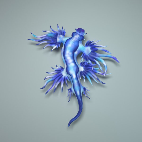 Glaucus Atlanticus - Blue Sea Slug - Blue Glaucus - Blue Dragon -  3D Printed - Miniature - Figurine - Sculpture - DIY Paint Your Own