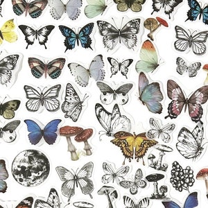 100 Stück Schmetterling Washi Aufkleber, Floral Sticker Pack, Junk Journal, Ephemera, Vollmond, Natur, Schmetterlinge, Insekt, Bunt, Flügel