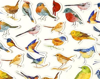 45 Pcs Birds Sticker Pack, Bird Sticker, Birds in Flight, Scrapbook, Junk Journal Kit, Journal Ephemera, Animal Sticker, Pets Sticker