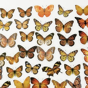 40 Stück Schmetterling Klare Aufkleber, Schmetterlinge Klare Aufkleber, journal, Ephemera, Insekten, Garten, Natur, Exemplar, Orange, Monarch