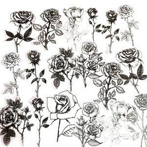 20 autocollants roses en vélin, scrapbooking, journal, kit de journal indésirable, journal éphémère, noir et blanc, gravures, dessinés à la main, fleur de rose