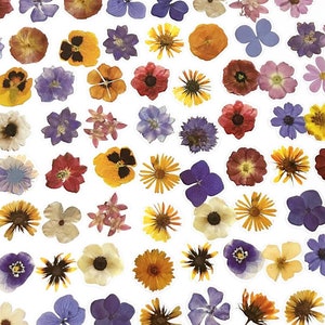 100 Stück Blumen klare Aufkleber, Florale klare Aufkleber, Scrap-Buchung, Junk-Journal, Blumenblüte, Stiele, gepresster Blumeneffekt
