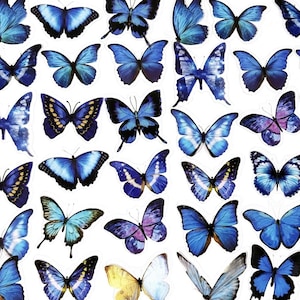40 Stück blauer Schmetterling Klaraufkleber, Schmetterlinge Klaraufkleber, Journal, Journal Ephemera, Insekten, Garten, Natur, Monarchfalter