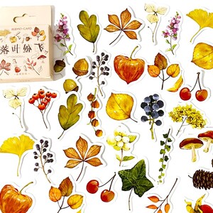 45 Stück Herbst Aufkleber, Botanicals Sticker, Wald, Scrapbooking, Junk Journal, Eichel, Tannenzapfen, Blätter, Pilz, Ginkgo Blatt