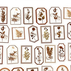 30 Stück getrocknete Blätter klare Aufkleber, Botanicals PVC Aufkleber, Scrapbooking, Baumwollpflanzenaufkleber, getrocknete Botanicals, Blätter, Blatt, Garten, Rahmen