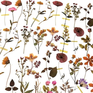 40 Stück Blumen klare Aufkleber, Floral, Journal, Resin Art, Junk Journal, Ephemera, Blätter, Rosen, Botanicals, Trockenblumen, Herbst