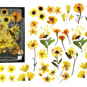 40 Stück gelbe Blumen klare Aufkleber, klare Blumenaufkleber, Journal, Botanicals, Garten, Natur, Blume, Trockenblumeneffekt