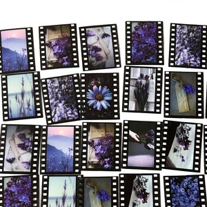 30 Stück lila Blumen Film klare Aufkleber, Floral, Scrapbooking, journal, Junk Journal, Kamera Film, Roll, Fotografie, Garten, Lavendel