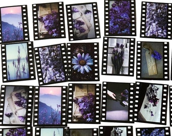 30 Pcs Purple Flowers Film Clear Sticker, Floral, Scrapbooking, journal, Junk Journal, Camera Film, Roll, Photograph, Garden,Lavender