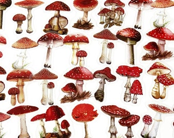 40 Pcs Red Mushrooms Clear Sticker, Fungi Sticker, journal, Journal Ephemera, Forest, Woodland, Gnome, Button Mushrooms, Polka Dots