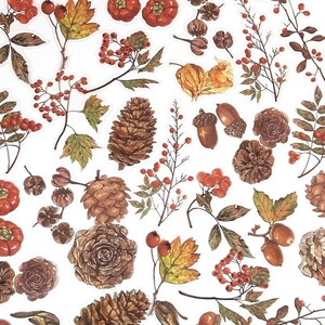 40 Stück Botanicals Klare Aufkleber, Getrocknete Blumen, Scrapbook Aufkleber, Junk Journal Kit, Ephemera, Garten, Blätter, Kiefernzapfen, Eichel, Herbst Herbst