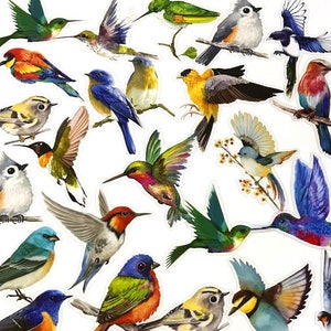 40 Stück Vögel Klar Aufkleber, Bunte Vögel PVC Sticker Pack, Scrapbook, Junk Journal Kit, Federn, Flügel, Fliegen