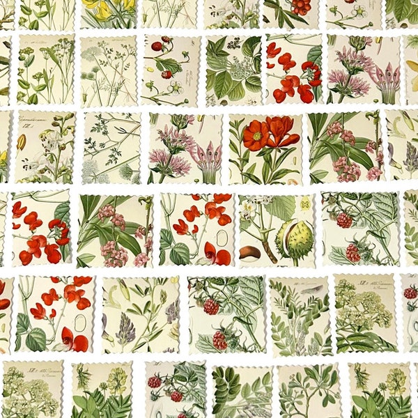 45 Pcs Botanicals Sticker, Plants Stamp, Herbs Stickers, Scrapbook, Junk Journal Kit, Journal Ephemera, Leaves, Fruits, Flowers, Grasses