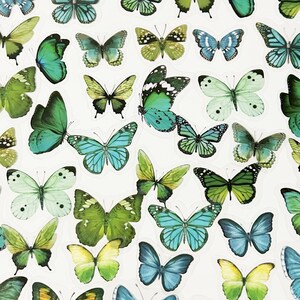 40 Stück grüner Schmetterling Klaraufkleber, Schmetterlinge Klaraufkleber, Journal, Journal Ephemera, Insekten, Garten, Natur, Exemplar, Flügel