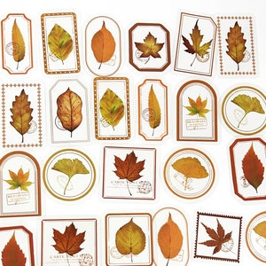 30 Stück Getrocknete Blätter Klaraufkleber, Botanicals PVC Aufkleber, Scrapbooking, Herbstblattaufkleber, Ahornblatt, Herbst, Ginkgoblatt, Garten, Rahmen