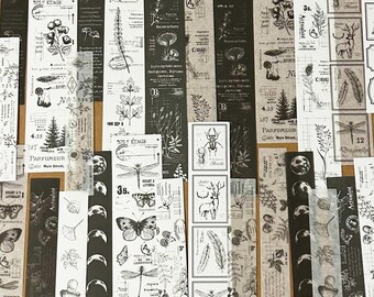 30 Pcs Botanicals Washi Sticker, Nature Sticker, Junk Journal Kit, Scrap book, journal, Ephemera, Black, White, Moon Phases, Plants