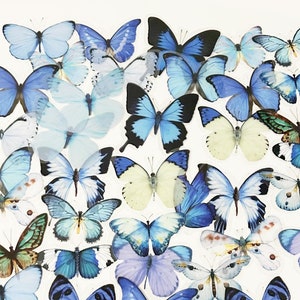 40 Stück Schmetterling Klare Aufkleber, Schmetterlinge Klare Aufkleber, journal, Journal Ephemera, Insekten, Garten, Natur, Monarchfalter, blau