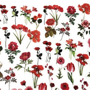 40 Stück rote Blumen klar Aufkleber, Floral Clear Sticker, Journal, Journal Ephemera, Rosen, Tulpen, Mohnblume, Stiel, Dornen, Blätter, Blatt