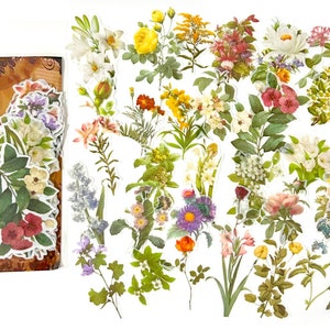 60 pcs fleurs grands autocollants, sticker floral, journal indésirable, éphémères, collection nature, jardin, fleurs séchées, feuille, feuilles, produits botaniques