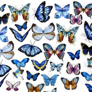 40 Stück blauer Schmetterling Klaraufkleber, Schmetterlinge Klaraufkleber, Journal, Journal Ephemera, Insekten, Garten, Natur, Monarchfalter