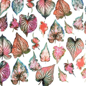 30 Stück grüne Blätter Klar Aufkleber, Farn Blatt PVC Aufkleber, Scrapbooking, Blatt Aufkleber, Botanicals, Blätter, Blatt, Topfpflanzen, Zimmerpflanze