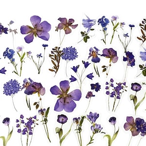 40 Stück lila Blumen klare Aufkleber, Floral Klaraufkleber, journal, Ephemera, Harz, Lavendel, Violett, Hortensie, Orchidee, Stiel
