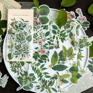 60 Pcs Leaves Washi Sticker, Green Leaves, Junk Journal Kit, Ephemera, Botanicals, Flowers, Summer, Nature Collection, Garden, Greenery