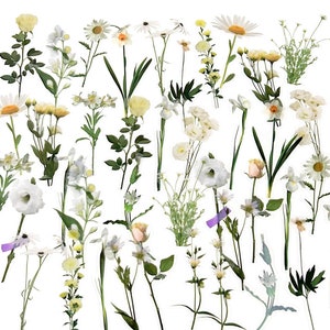 40 Stück weiße Blumen klare Aufkleber, Floral Klaraufkleber, journal, Journal Ephemera, Harz, Blätter, Gänseblümchen, Botanicals, Garten, Gänseblümchen